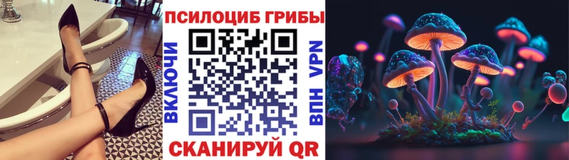 OMG как зайти  Николаевск  Псилоцибиновые грибы Psilocybe 