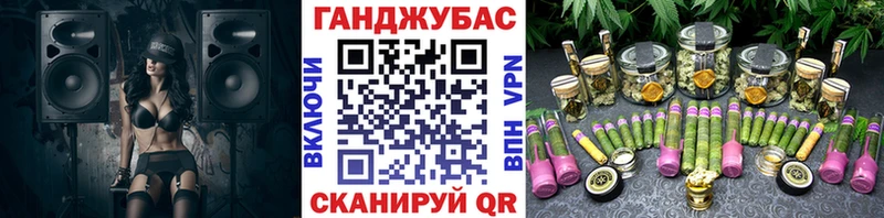 что такое   Николаевск  Бошки Шишки Amnesia 